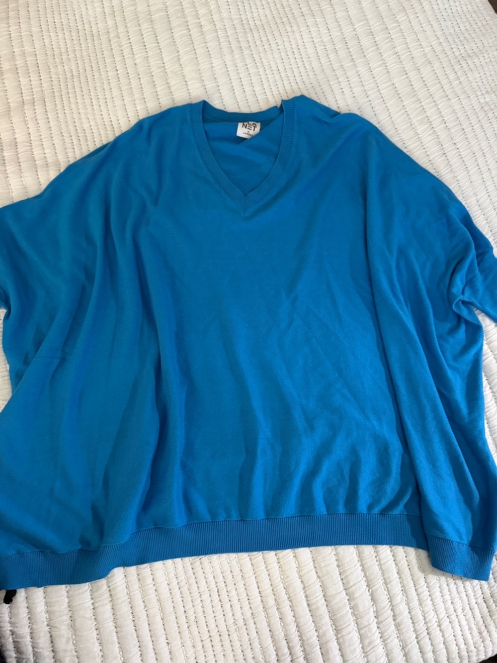 Planet by Lauren G V-Neck Blue Dolman Sleeve Sweater